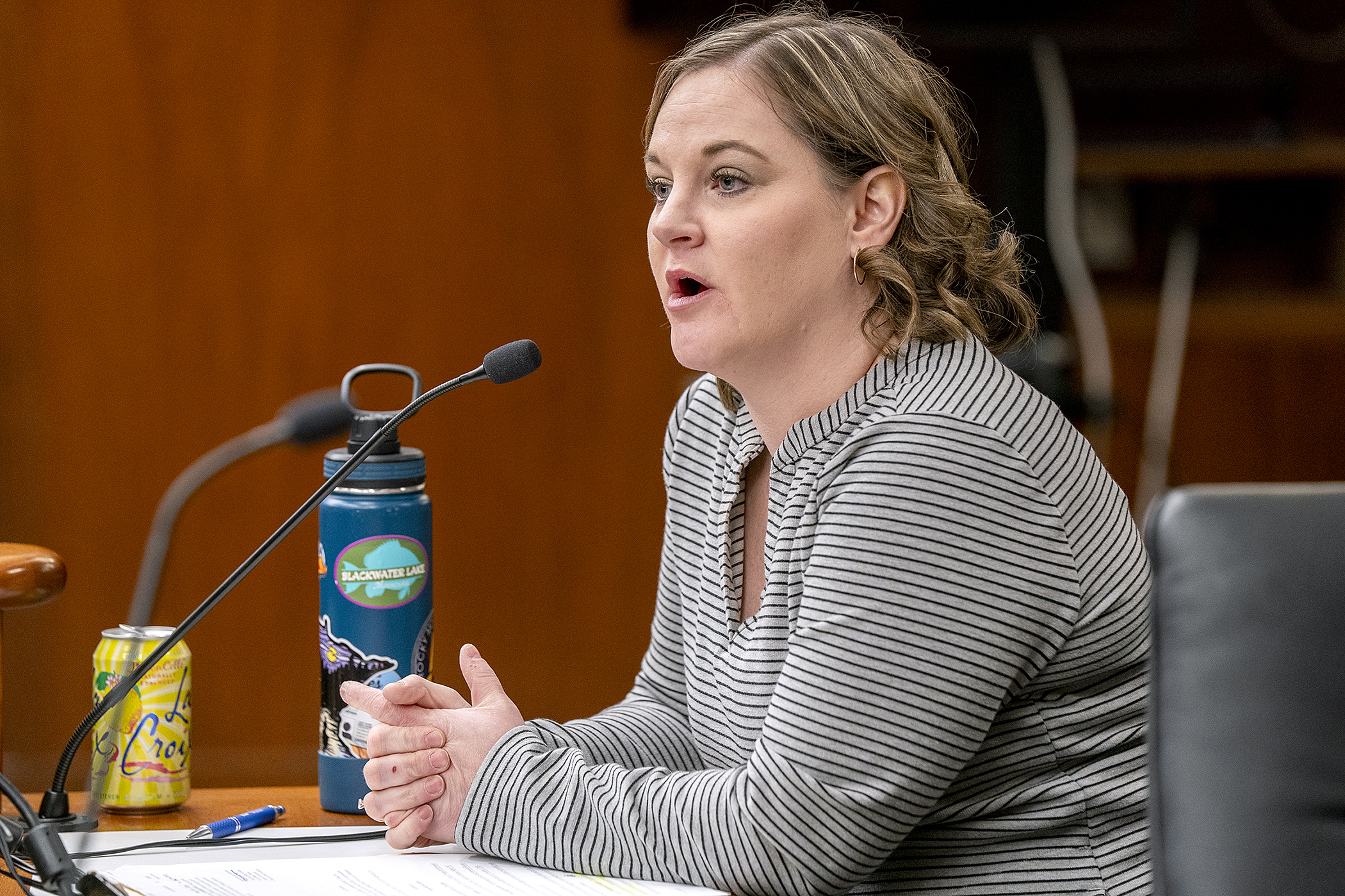 Rep. Erin Koegel, chair of the House Sustainable Infrastructure Policy Committee, answers a question Wednesday about a bill she sponsors to establish the Minnesota Advisory Council on Infrastructure. (Photo by Michele Jokinen)
